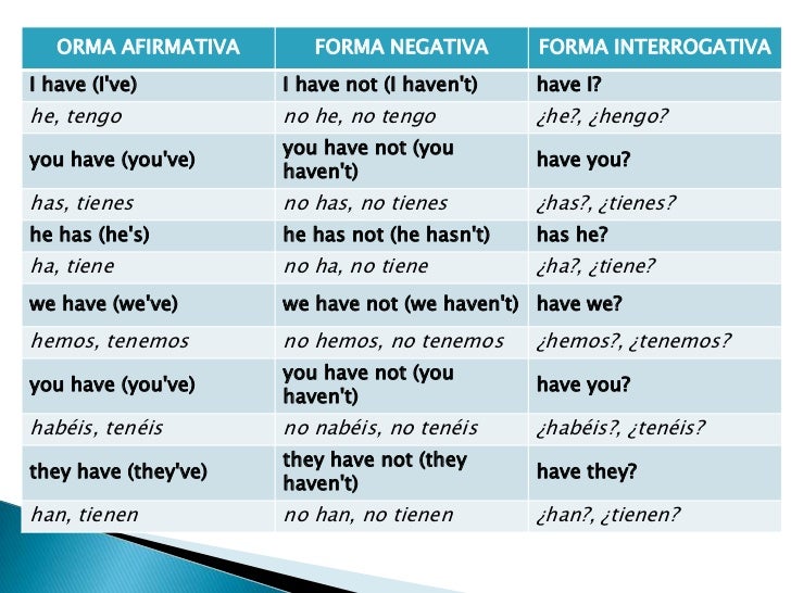 Verbo have