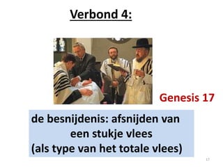 Verbond 4:
de besnijdenis: afsnijden van
een stukje vlees
(als type van het totale vlees)
Genesis 17
17
 