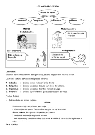 LOS MODOS DEL VERBO
Modos del verbo
Indicativo subjuntivo indicativo potencial
MODOS
Modo Indicativo
Modo Subjuntivo
Modo Imperativo Modo potencial
Los modos:
Expresan las distintas actitudes de la persona que habla, respecto a un hecho o acción.
Los modos verbales son accidentes propios del verbo.
A. Indicativo : Expresa hechos reales en forma directa.
B. Subjuntivo : Expresa una actitud de duda o un deseo del hablante.
C. Imperativo : Expresa una actitud de orden, mandato o ruego.
D. Potencial : Expresa la posibilidad de que suceda la acción del verbo.
Practica de clase
 Subraya todas las formas verbales.
LA SIEGA
Un campesino dijo una mañana a su mujer:
- Hoy trabajaremos juntos. Yo cortaré las espigas y tú las amarrarás.
Ramón y Meche, los hijos del campesino, propusieron:
- Y nosotros llevaremos las gavillas al carro.
Todos trabajaron y cantaron durante todo el día. Y cuando el sol se ocultó, regresaron a
casa.
Parte practica
Ojalá escuches mis
consejos
Hijo, sé bueno y
honrado.
Lloraría si no
tuviera a mamá
 