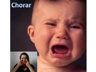 Disciplina de LIBRAS
 