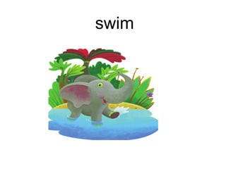 swim
 
