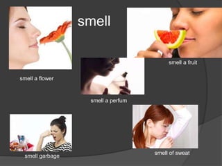 smell
smell a flower
smell a fruit
smell a perfum
smell of sweat
smell garbage
 