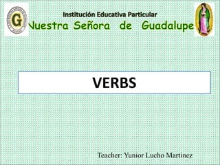Teacher: Yunior Lucho Martinez
VERBS
 