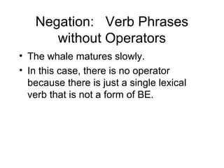 Negation: Verb Phrases
without Operators
• The whale matures slowly.
• In this case, there is no operator
because there is just a single lexical
verb that is not a form of BE.

 