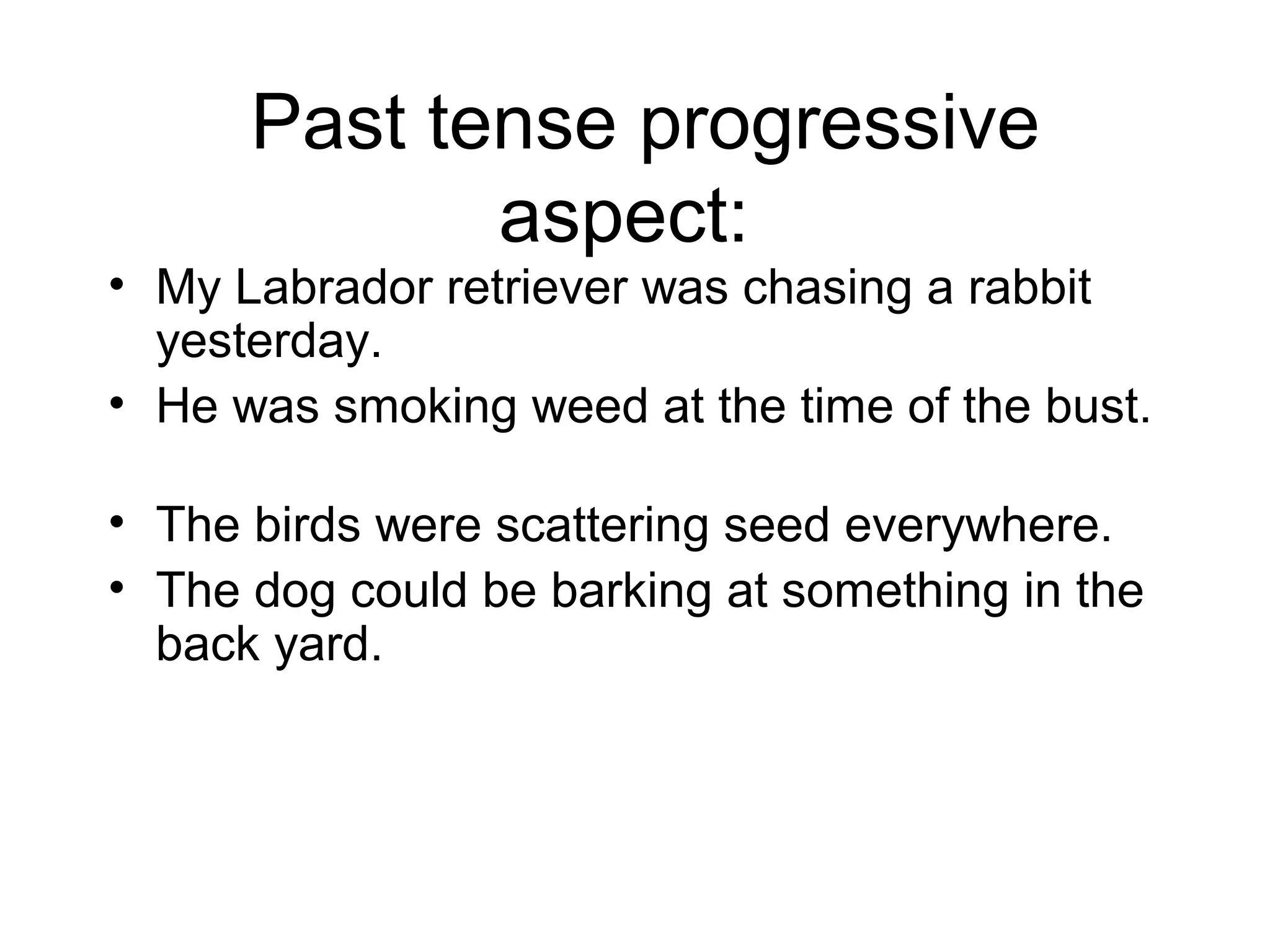 Past tense progressive
aspect:

• My Labrador retriever was chasing a rabbit
yesterday.
• He was smoking weed at the time of the bust.
• The birds were scattering seed everywhere.
• The dog could be barking at something in the
back yard.

 