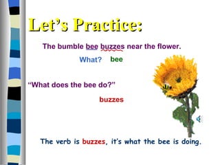 The bumble bee buzzes near the flower. What?  buzzes bee “ What does the bee do?”  Let’s Practice: The verb is   buzzes , it’s what the bee is doing. 