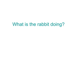 What is the rabbit doing? 