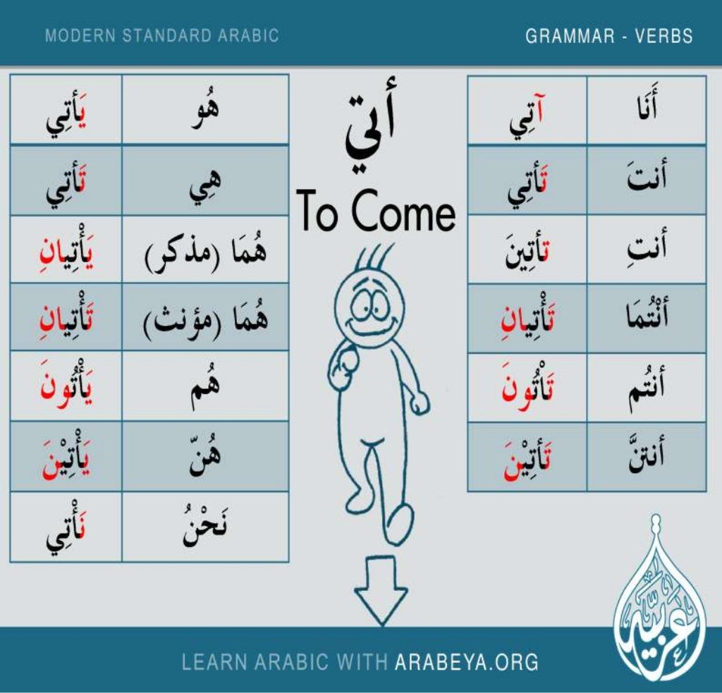 Learn Verbs In Modern Standard Arabic