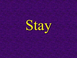 Stay
 