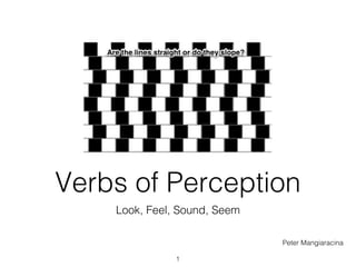 Verbs of Perception
    Look, Feel, Sound, Seem

                              Peter Mangiaracina

               1
 