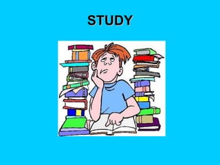 STUDY 