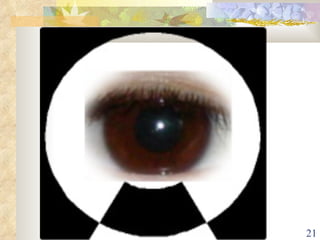 Verb tense time line