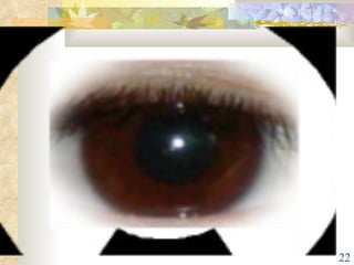 Verb tense time line