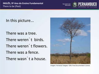 In this picture...
There was a tree.
There weren´t birds.
There weren´t flowers.
There was a fence.
There wasn´t a house.
INGLÊS, 9º Ano do Ensino Fundamental
There to be (Past)
Imagem: Fernando Tatagiba / GNU Free Documentation License.
 
