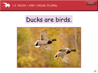 23
Ducks are birds.
1-2 NOUN + ARE + NOUN: PLURAL
 