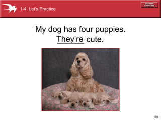 50
My dog has four puppies.
______ cute.
1-4 Let’s Practice
They’re
 