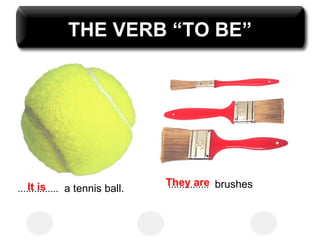 THE VERB “TO BE” ............... a tennis ball. ............... brushes It is They are 