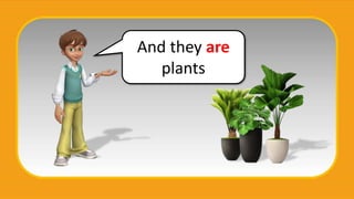 And they are
plants
 