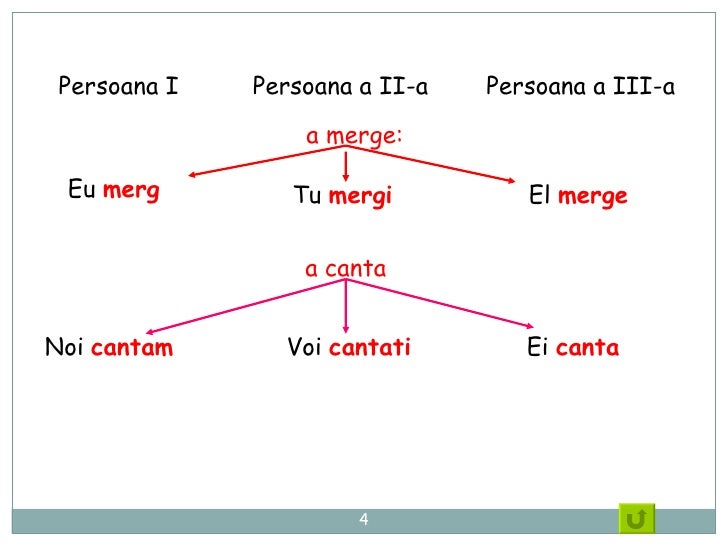 Persoana 1 2 3