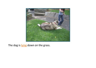 Verb Word Documents Fave Literacy Class