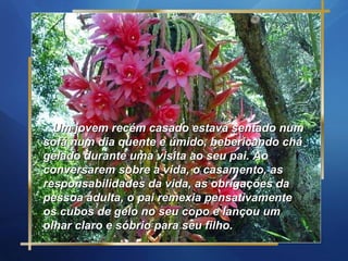 Um jovem recém casado estava sentado num sofá num dia quente e úmido, bebericando chá gelado durante uma visita ao seu pai. Ao conversarem sobre a vida, o casamento, as responsabilidades da vida, as obrigações da pessoa adulta, o pai remexia pensativamente os cubos de gelo no seu copo e lançou um olhar claro e sóbrio para seu filho. 