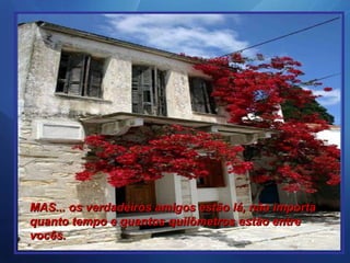 MAS... os verdadeiros amigos estão lá, não importa quanto tempo e quantos quilômetros estão entre vocês. 