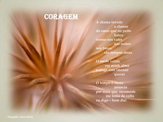 Fotografia: Jason Friesen
Coragem
A chama invade
o clamor
do amor que no peito
bateu
ressoa nos vales
nas noites
nos bares
são tempos ateus
O medo reluta
em minh alma
e afaga esse imenso
querer
O tempo o vento
anuncia
por mais que incomode
me toma de volta
eu digo – bom dia!
 