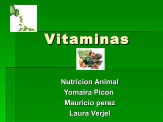 Vitaminas Nutricion Animal Yomaira Picon  Mauricio perez Laura Verjel 