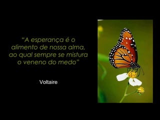 “A esperança é o
alimento de nossa alma,
ao qual sempre se mistura
o veneno do medo”
Voltaire
 