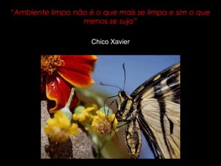 “Ambiente limpo não é o que mais se limpa e sim o que
menos se suja”
Chico Xavier
 