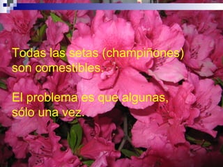 Todas las setas (champiñones) son comestibles.  El problema es que algunas,  sólo una vez. 