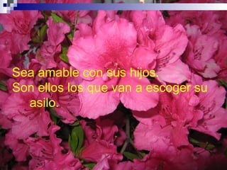 Sea amable con sus hijos.  Son ellos los que van a escoger su   asilo. 