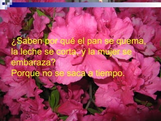 ¿Saben por qué el pan se quema, la leche se corta, y la mujer se embaraza? Porque no se saca a tiempo.  