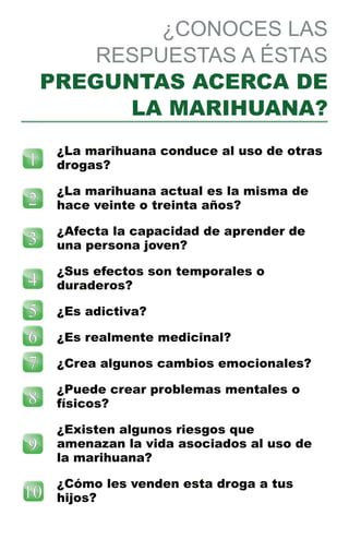 15 preguntas básicas sobre la marihuana que todos hacen