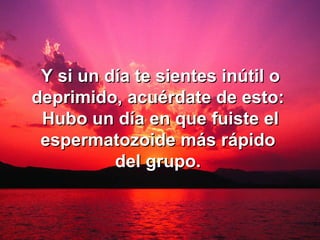 Y si un día te sientes inútil o deprimido, acuérdate de esto:  Hubo un día en que fuiste el espermatozoide más rápido  del grupo.   