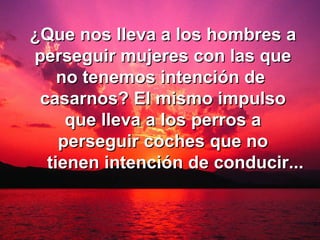 ¿Que nos lleva a los hombres a perseguir mujeres con las que no tenemos intención de  casarnos? El mismo impulso que lleva a los perros a perseguir coches que no   tienen intención de conducir... 