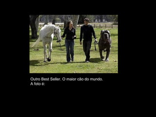 Outro Best Seller. O maior cão do mundo. A foto é: FALSA. 