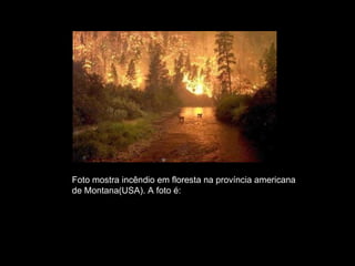 Foto mostra incêndio em floresta na província americana  de Montana(USA). A foto é: VERDADEIRA 