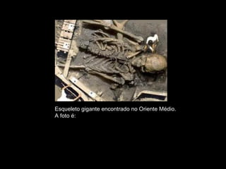 Esqueleto gigante encontrado no Oriente Médio. A foto é: FALSA. 