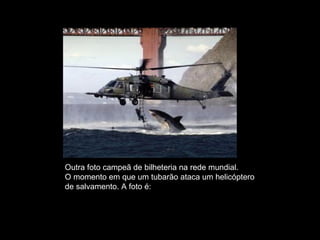 Outra foto campeã de bilheteria na rede mundial.  O momento em que um tubarão ataca um helicóptero de salvamento. A foto é: FALSA. 