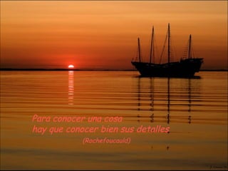 Para conocer una cosa
hay que conocer bien sus detalles
            (Rochefoucauld)
 