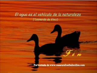 El agua es el vehículo de la naturaleza
          ( Leonardo da Vinci)




                                 Fin
 