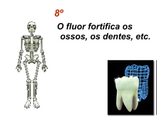 8º O fluor fortifica os ossos, os dentes, etc. 