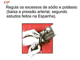 11º Regula os excessos de sódio e potássio (baixa a pressão arterial, segundo estudos feitos na Espanha). 