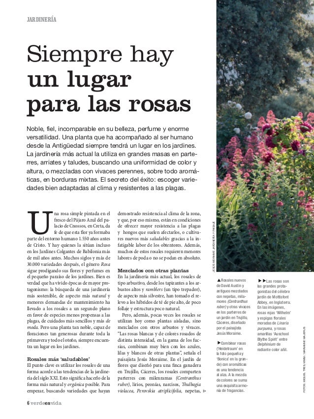 Verde es-vida-75