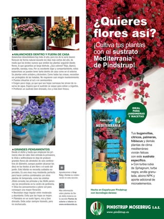 Sustratos para semilleros  Revista de Flores, Plantas, Jardinería,  Paisajismo y Medio ambiente