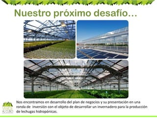 Nuestro próximo desafío…
Nos encontramos en desarrollo del plan de negocios y su presentación en una
ronda de inversión con el objeto de desarrollar un invernadero para la producción
de lechugas hidropónicas.
 