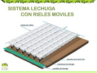 SISTEMA LECHUGA
CON RIELES MOVILES
 