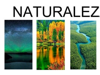 NATURALEZA
 