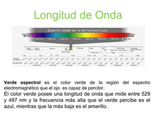 Longitud de Onda
Verde espectral es el color verde de la región del espectro
electromagnético que el ojo es capaz de percibir.
El color verde posee una longitud de onda que mide entre
529 y 497 nm y la frecuencia más alta que el verde percibe
es el azul, mientras que la más baja es el amarillo.
 